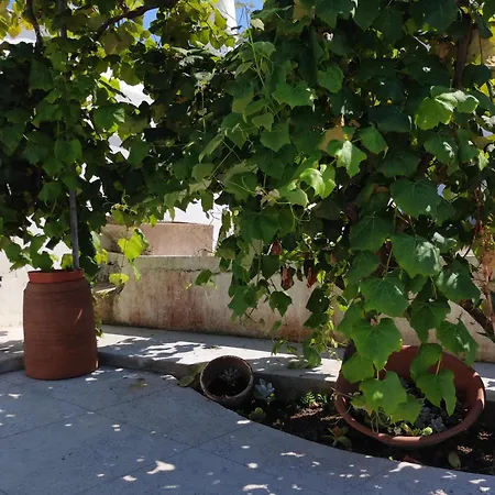 Armazens Do Beco - Cacau, Pimenta E Sal Santa Cruz da Graciosa